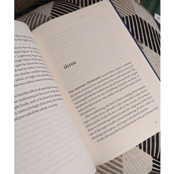 The Fall Guy -James Lasdun - Picture 3 of 3